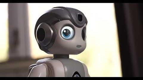 Robot Robin, de perfecte speelkameraad!