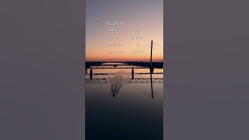 Best Drone Settings Explained 🎥