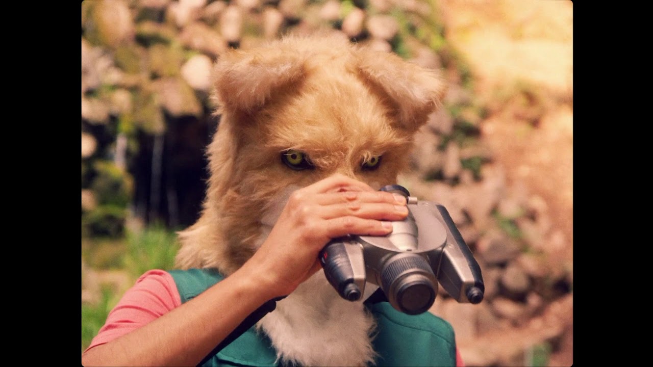 Trailer Tu ultimo dia en la tierra