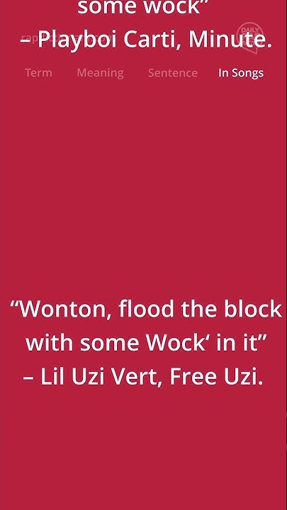 what-does-wock-or-wok-mean-i-took-the-wock-to-poland-youtube
