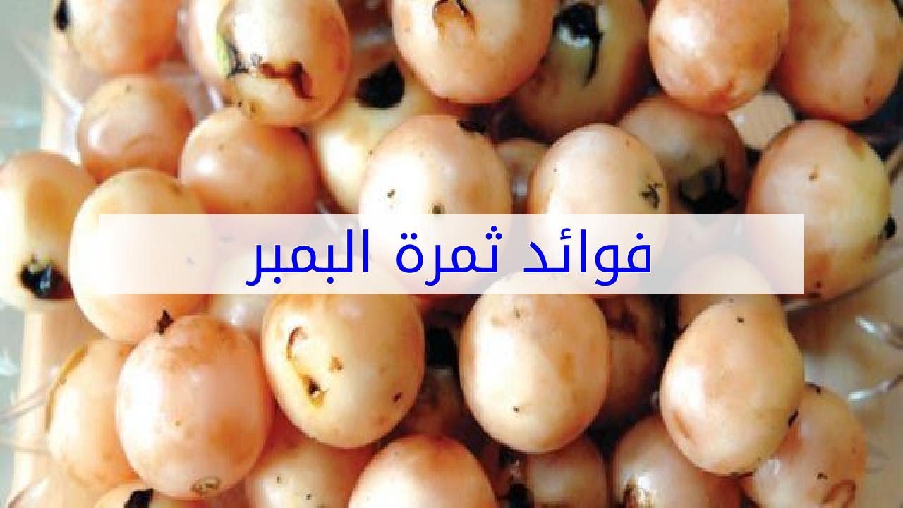 فوائد ثمرة البمبر - YouTube