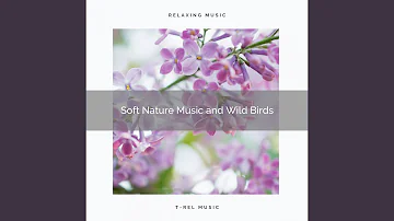 The Meadow, Rain Forest Birds and Nature Music for Peaceful Sleep