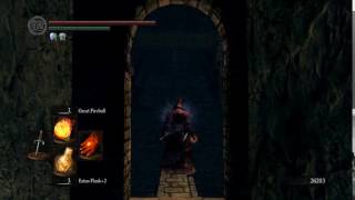 Are you fucking kidding me? (Dark Souls I)
