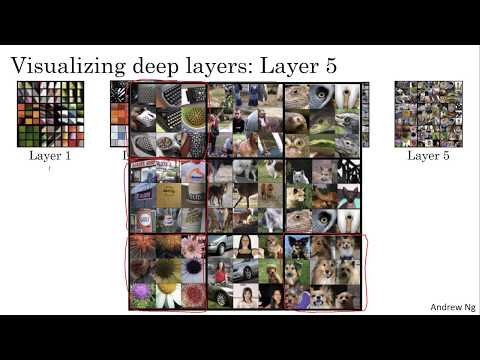 C4W4L07 What are deep CNs learning?
