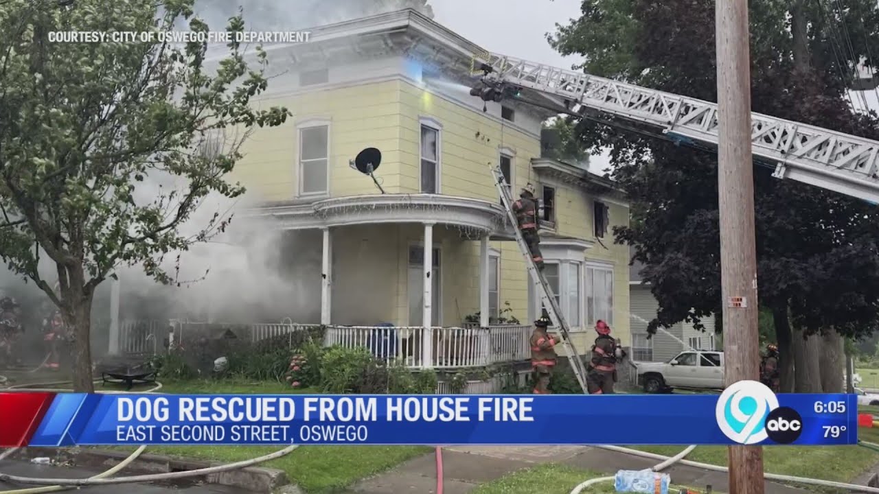 Dog rescued from house fire in Oswego - YouTube
