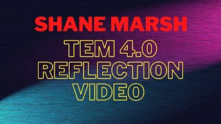 TEM Reflection Video