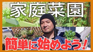【初心者必見】ベランダ菜園の始め方！気を付けるポイント、準備物までまるっと紹介！