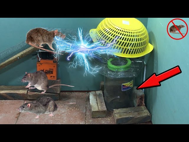 Best Electric Mouse Trap /How to make a Homemade Electric Mousetrap With  Battery 12V/Mouse Reject  Best Electric Mouse Trap /How to make a Homemade Electric  Mousetrap With Battery 12V/Mouse Reject Credit