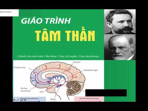 Video: Tâm Thần Hóa Và Tâm Lý Học. Pierre Marty