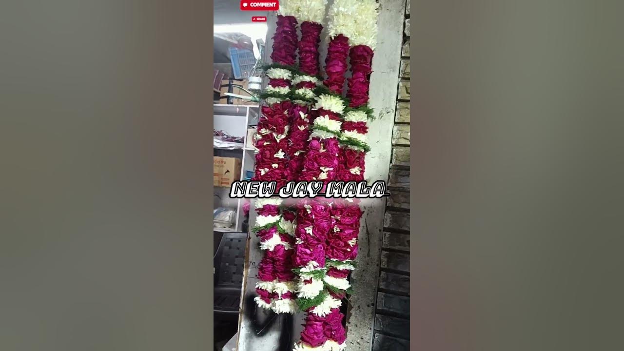Jaymala Songs For Wedding Video shortvideo shorts op music animals jaymala-songs-for-wedding-video-shortvideo-shorts-op-music-animals