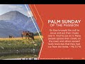 Palm Sunday