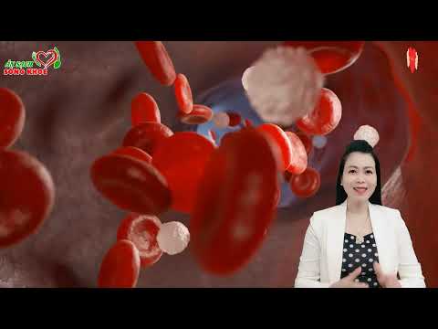Video 5 Thực Phẩm QUÉT SẠCH MỠ MÁU, Ăn Đến Đâu Làm Sạch Máu... - youtube