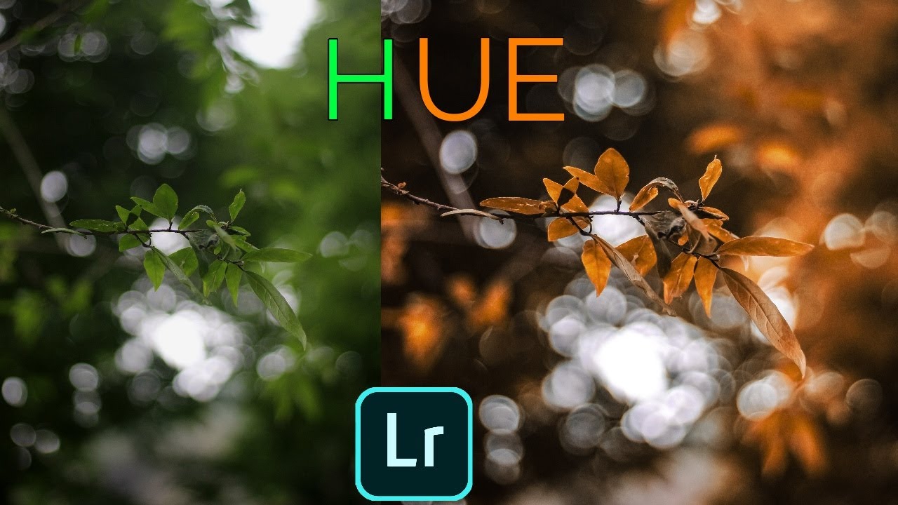 LIGHTROOOM HUE ADJUSTMENTS LIGHTROOM HUE SATURATION LUMINANCE