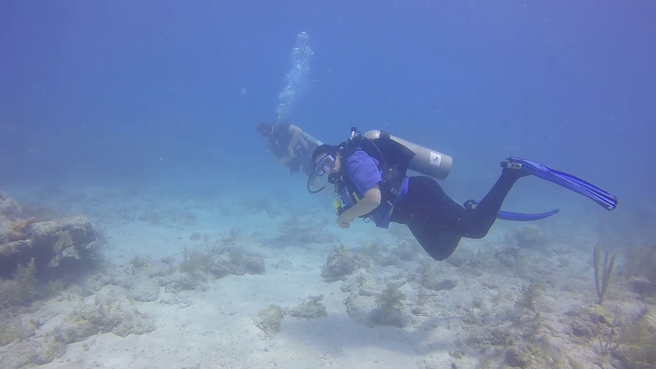 Scuba Diving at Key West YouTube