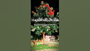فَبِأَىِّ ءَالَآءِ رَبِّكُمَا تُكَذِّبَانِ💔 | تلاوة تهزّ القلوب. مقام نهاوند #تلاوة_خاشعة #المنشاوي