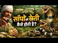 साँपों की खेती कैसे होती है? 🐍 | Snake Farming Business India | लाखों की कमाई सच या झूठ?