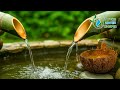 Bamboo Water Sounds | Nature Relaxation &amp; Meditation | Deep Sleep &amp; Stress Relief