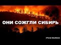 Лесные пожары устроили... Они сожгли Сибирь - это геноцид | Pravda GlazaRezhet