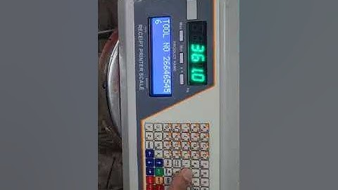 High Tech Wireless Crane Scale with Printer - Is This Overkill?