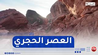 النعامة / نقوش تيوت الصخرية  .. نافذة على العصر الحجري