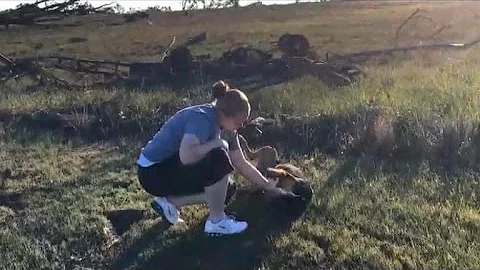 Dog reunited with family after Oklahoma tornadoes
