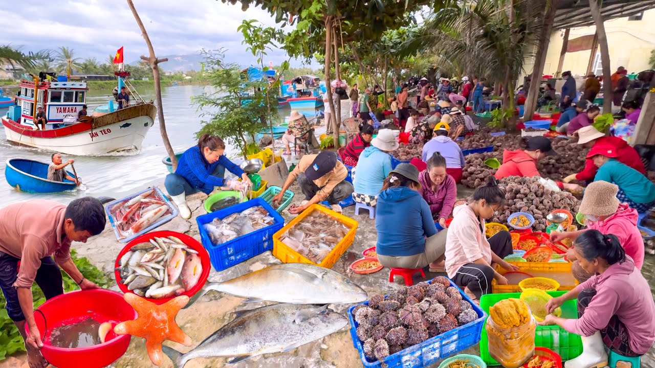 Bến Cá Sơn Thuỷ Nha Trang | Ngập Tràng Hải Sản Chợ Vĩnh Hải