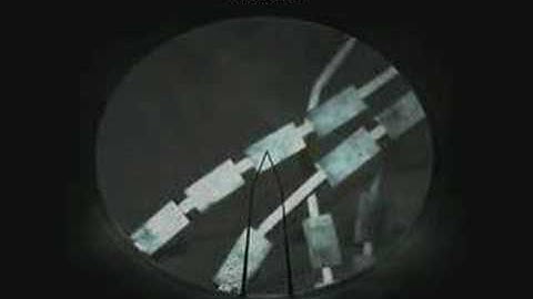 S.T.A.L.K.E.R. — Gauss gun