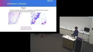 Dementia Public Forum at QBI July 2019, Pt2