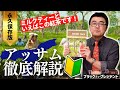 【ミルクティー人気No.1】アッサム紅茶を徹底解説！なぜミルクとの相性が抜群なのか？