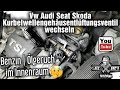 Vw Audi Seat Skoda | 1.2 1.4 TSI | Kurbelwellengehäuseentlüftung | Benzin Ölgeruch | Purge Valve