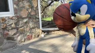 Chewie and sonic play basketball