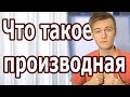 ЧТО ТАКОЕ ПРОИЗВОДНАЯ. ТАБЛИЦА ПРОИЗВОДНЫЙ. Артур Шарифов