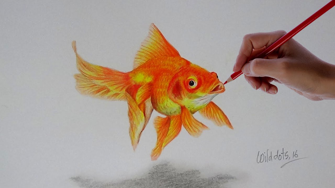 Fish drawing hi-res stock photography and images - Alamy