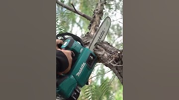 máy cưa cành bằng pin makita chính hãng