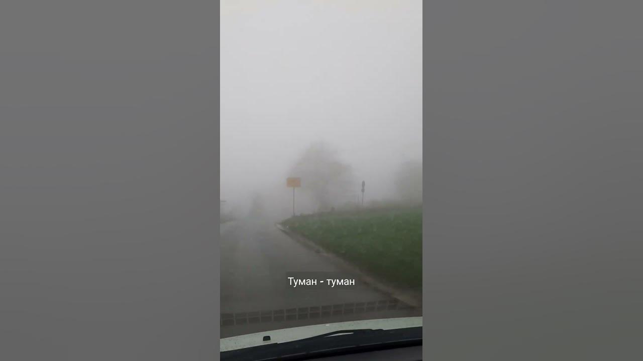 Плохо видимый в тумане