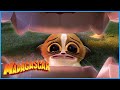 Mort&#39;s Madness | DreamWorks Madagascar