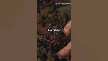 Potentiality assessment of vermiwash as a soil microbial #soil #researchers #sciencefather #farm