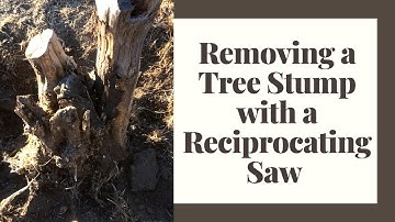 Removing a Tree Stump with Reciprocating Saw