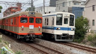 【奇跡❗️】東武野田線の急行船橋行き(8000系8111編成)と各駅停車大宮行き(8000系8159編成)がまさかのすれ違い❗️