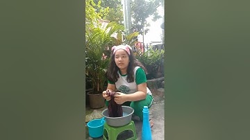 Performance task Epp-Home Economics 5