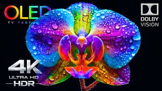 ONLY OLED TEST You Need | Stunning 4K Video HDR 240FPS Dolby Vision (4K TV)