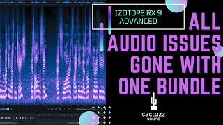 The Only AUDIO REPAIR BUNDLE You Really Need / iZotope RX 9