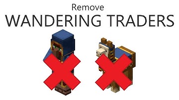 [Tutorial] Removing wandering traders in the best way possible!