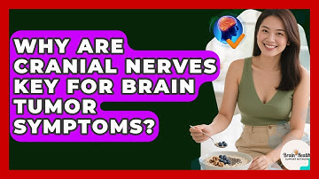 Why Are Cranial Nerves Key For Brain Tumor Symptoms? - Brain Health Support Network