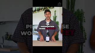 Dolcetto Wine: Exploring Flavors and History in Italy #shorts