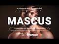 Bandeannonce mascus