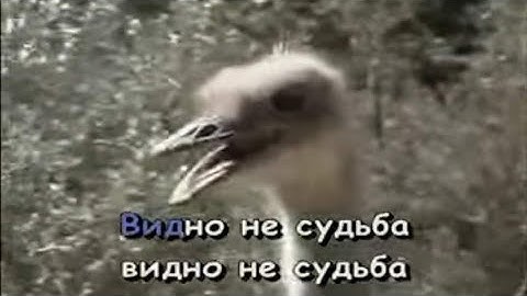 Cabinet man. -=Parts 16-17=-