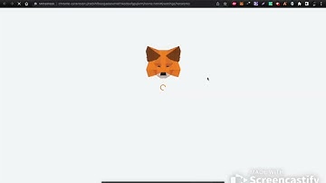Adding and converting Metis in Metamask