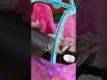 THIS CAR TOTALY DIRTY 🤯🤮 How To Clean Barbie Car 🚗💦💖 #DIY #doll #crafts image