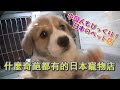 中国人びっくり！日本のペットショップ【ビックリ日本】